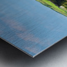 Rising Above: The Magnificent Fabyan Trestle in Albertas Breathtaking Landscape Metal print