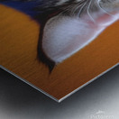 Bella wants to play Metal print