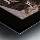 TERRA COTTA SOLDIERS BY CHINAS GREAT WALL Metal print