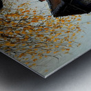 Autumn no.25 Metal print