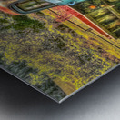 Old Chevys Never Die 16x24 Metal print