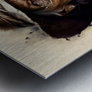 Wild West old woman no.6 Metal print