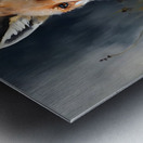 Wild no.12 Metal print