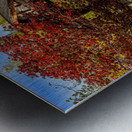 Autumn Beauty at Boffin Gardens Metal print