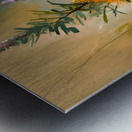 FLOWER WORLD no.63 Metal print