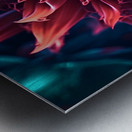 FLOWER WORLD no.71 Metal print