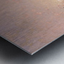 A day in Venice Metal print