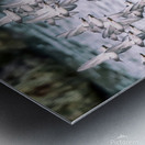 Sandpipers Metal print