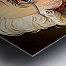 President2 Adams Metal print