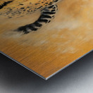 Wild no.48 Metal print