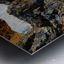 Sheep pair on ledge Seward highway Metal print