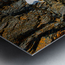 Sheep triplet on ridge Seward highway Metal print