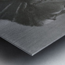 Lady In Waiting Metal print