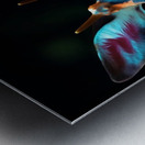 Wild no.79 Metal print