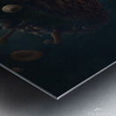 Mushroom Princess Metal print