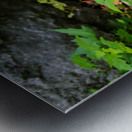 Groundhog Metal print