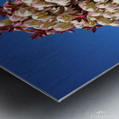 Spanish Dagger - Natural Metal print