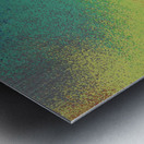 R 002 B 1 Metal print