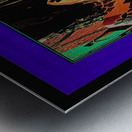 39 A ASIAN REFLECTIONS Metal print