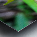 Puerto Rico Metal print