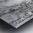 Black and white Metal print