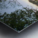 Lake view Metal print