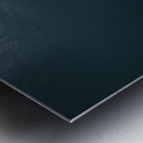 Twin dance Metal print