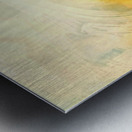 Inkscape 37 Metal print