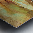 Inkscape 41 Metal print