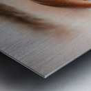 imgonline com ua resizeMPXqO4XNN8A7gDs Metal print