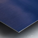 DSC09898 Metal print