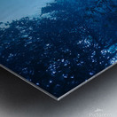 20220808 165930 1 Metal print