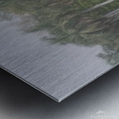 IMG 20220411 132351 Metal print