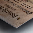 Butterfly Slip Jig Metal print