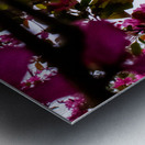 Criss-cross crabApple Sauce Metal print