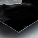 Delicate Folds Metal print