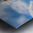 The Stick Metal print