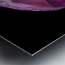 Magnolia Awoken Metal print