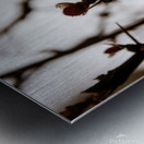 Scarlet Against the Sky Metal print