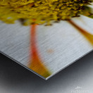 A Bright Spring Metal print