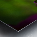 Drop of Green Swath of Pink Metal print