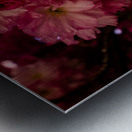 Hanging Bouquet Metal print