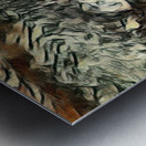 The Eye 2 Metal print