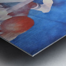 Birds Eye View Metal print