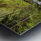 Water Flowing By Moss Covered Rocks In A Stream Metal print