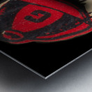 Dawg Close Up Metal print