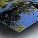 IMG 8419 Metal print