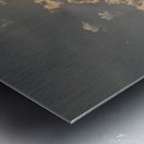 IMG 4387 Metal print