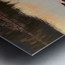 IMG 2268 Metal print