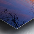 IMG 9772 Metal print